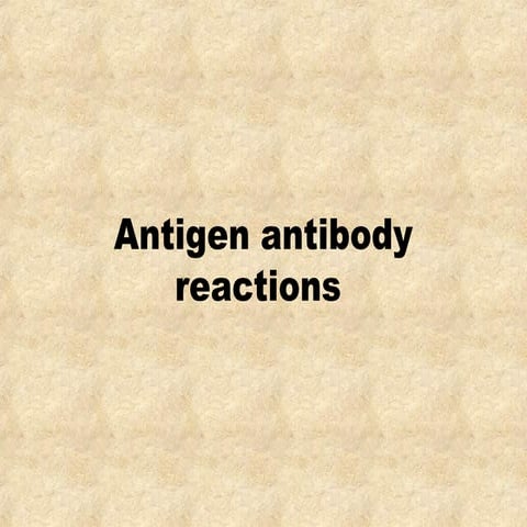 Anigen antiboy reactions