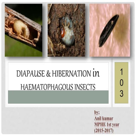 diapause and hibernation in haematophagous insects
