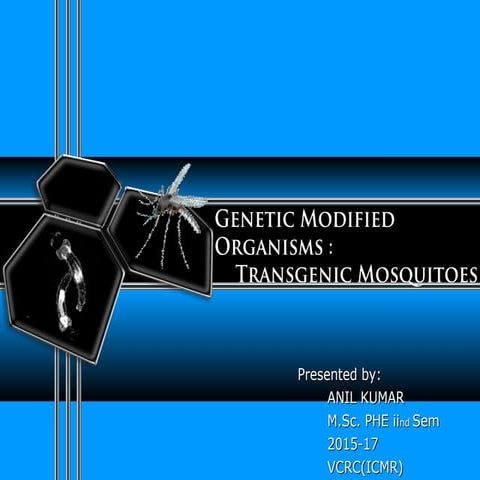 Transgenic mosquitoes