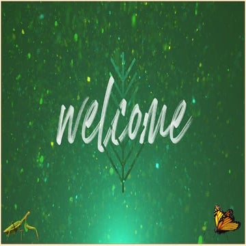 Global Scenario and impact of  neonicotinoids on pollinator and bees