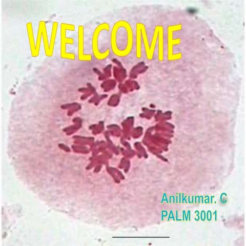 unreduced gamete formation and its role in plant breeding 