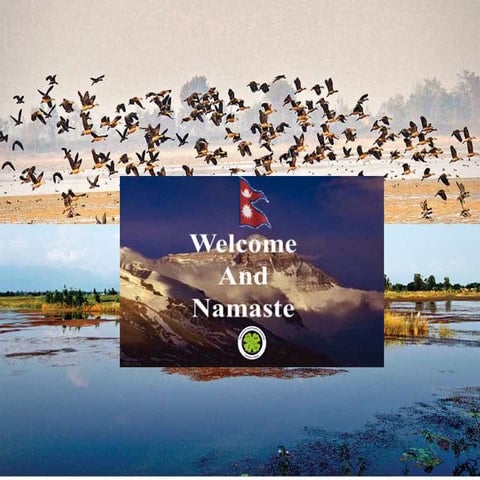 IMPACT OF CLIMATE CHANGE