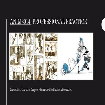 Anim3014 - Professional Practice