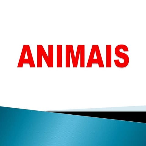 Animais