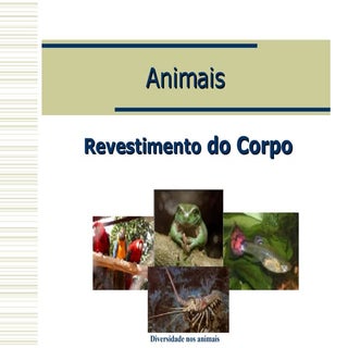 Animais    Revestimento Do  Corpo