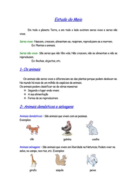 Animais DoméSticos E Selvagens