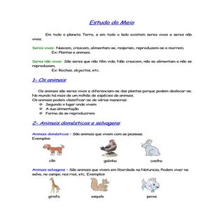 Animais DoméSticos E Selvagens