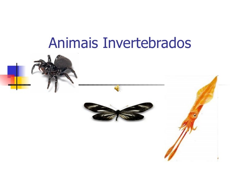 Como é Feita A Movimentação Dos Animais Invertebrados