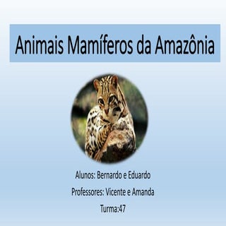 Animais mamíferos da Amazônia