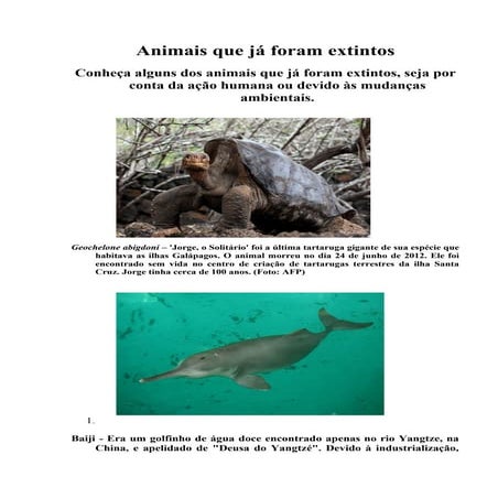 Animais que já foram extintos | DOC