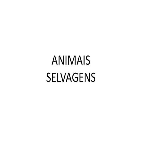 Animais selvagens