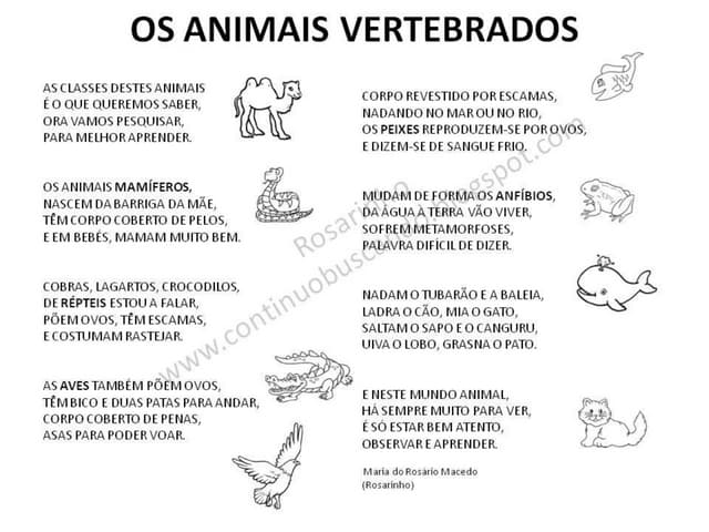 Animais vertebrados