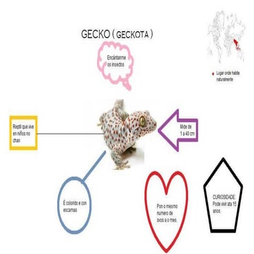 Animais vertebrados do mundo