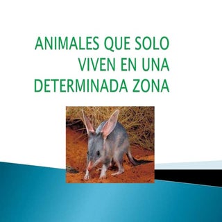 Animales