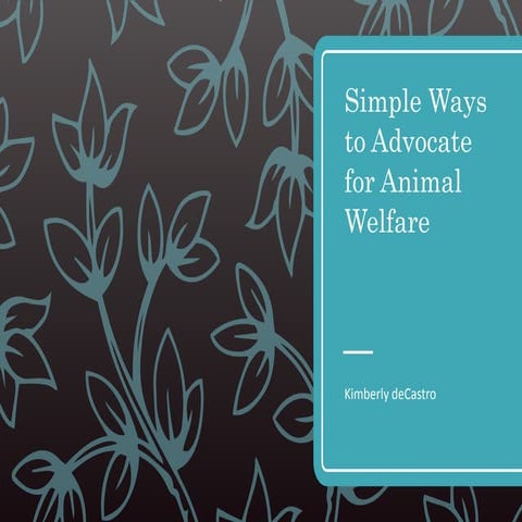Simple Ways to Advocate for Animal Welfare