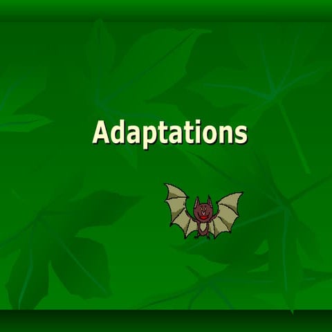 BEHAVIOURS FOR SURVIVAL