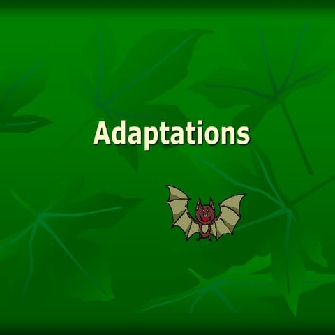 animal-adaptations-2.ppt