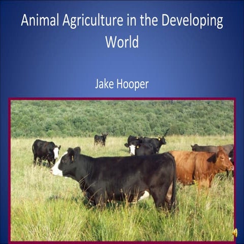 GLOBAL PERSPECTIVE CAMBRIDGE IGCSE: HUMANS AND OTHER SPECIES - PRO ...