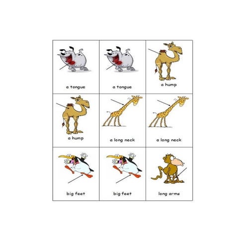 Animal body-parts-5 | DOC