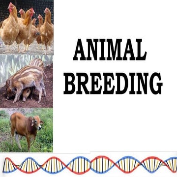 Genetics of animal breeding 9 | PPT