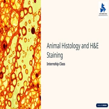Animal-Histology-and-HandE-Staining.pptx
