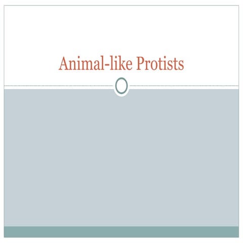 Animal like protists