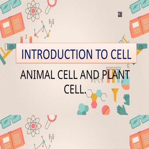 animal-plant and plant cell detailed information | PPTX