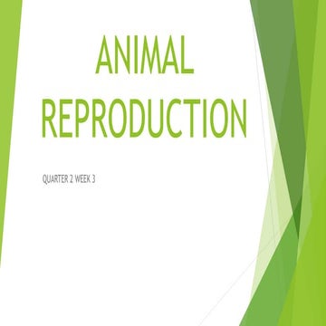 ANIMAL-REPRODUCTION.pptx