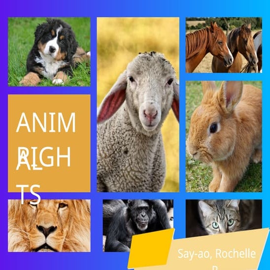 this is abou animal rights and how we should take care of them | PPTX