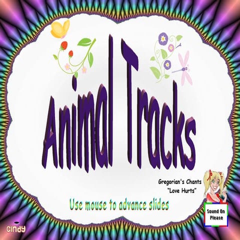 Animal tracks | PPT