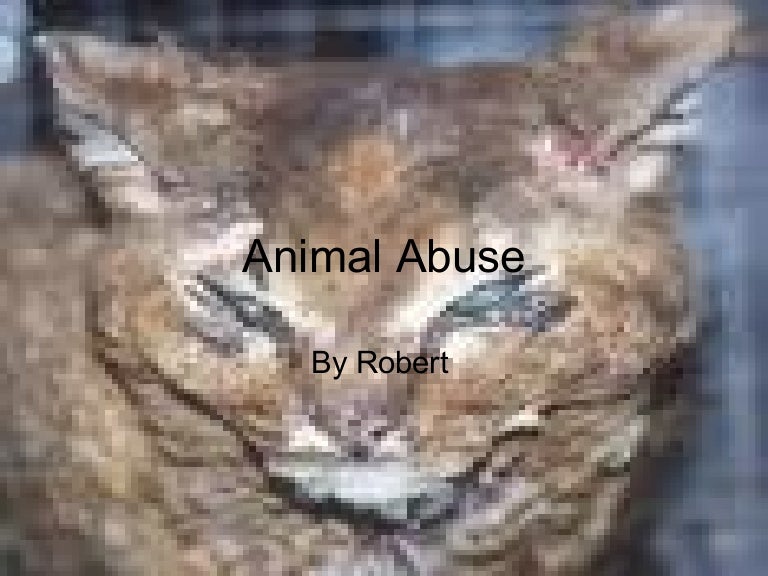Animal abuse