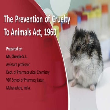 Animal act as per PCI