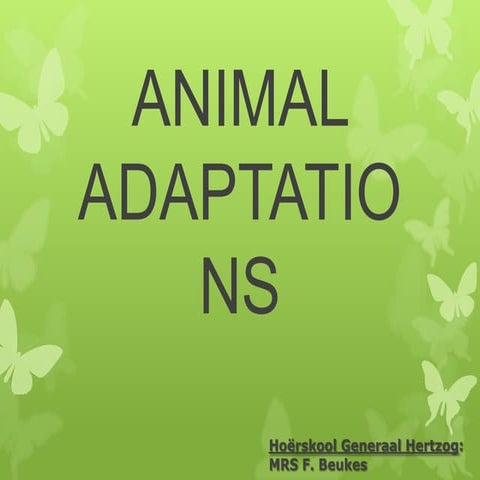 Animal adaptations