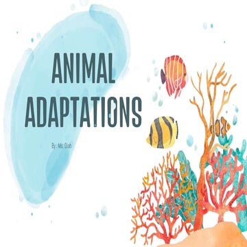 Animal adaptations