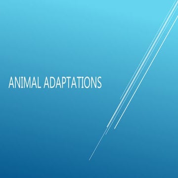 Animal adaptations by jack