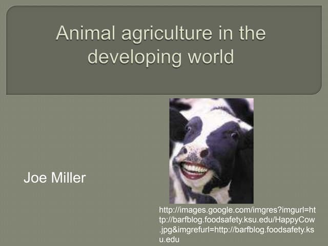 Animal Agriculture In The Developing World