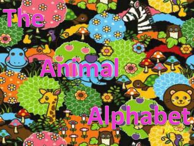 Animal alphabet