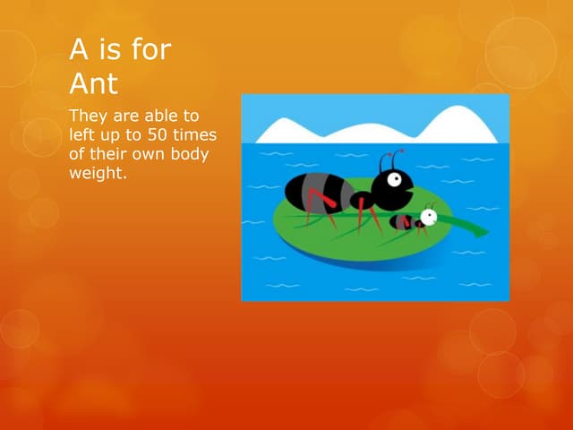 Animal alphabet powerpoint