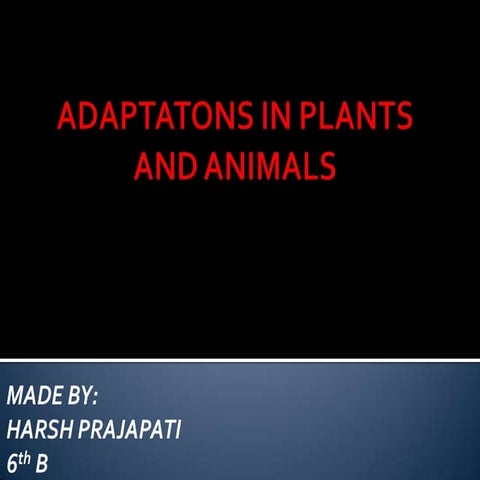 Animal and plant adaptation
