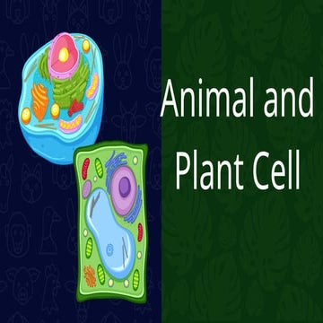 Animal and Plant Cell  Presentation.pptx