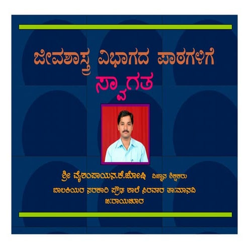 Animal and plant tissues