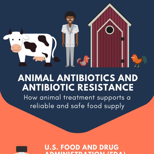 Animal Antibiotics and Antibiotic Resistance