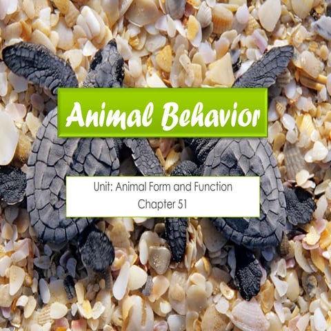 Animal Behavior Concept Review | PPTX