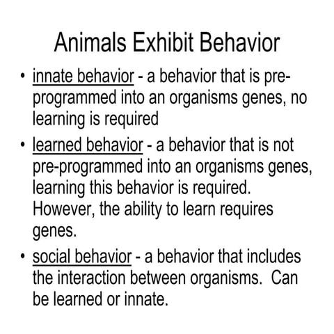Animal Behavior.ppt
