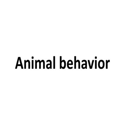 Animal behavior & its relation to coordination systems