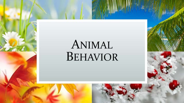 Animal behavior notes