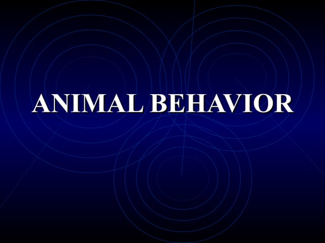 Animalbehaviorppt