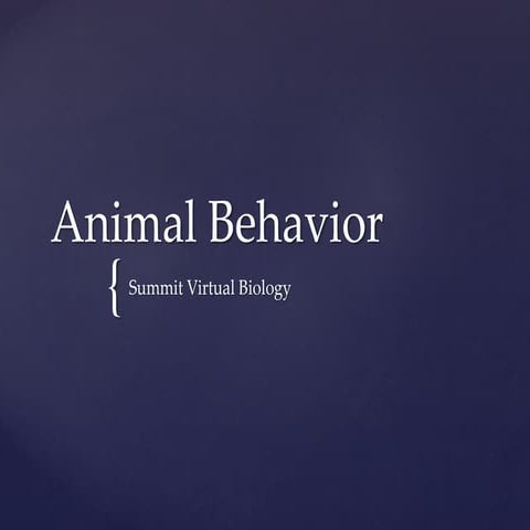Animal behaviors 