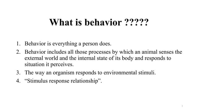 Animal behaviour