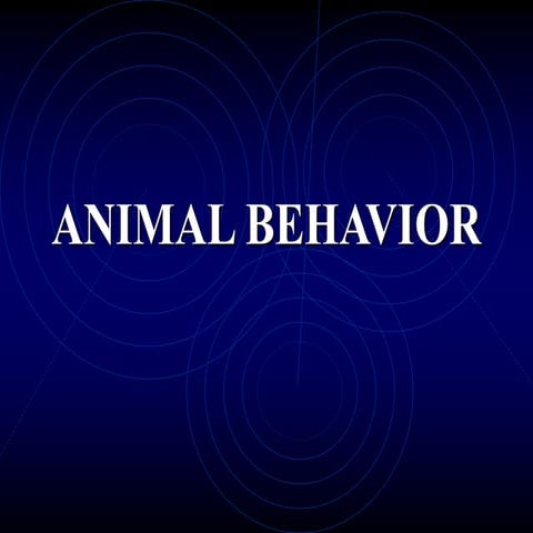 Animal behaviour.pptx